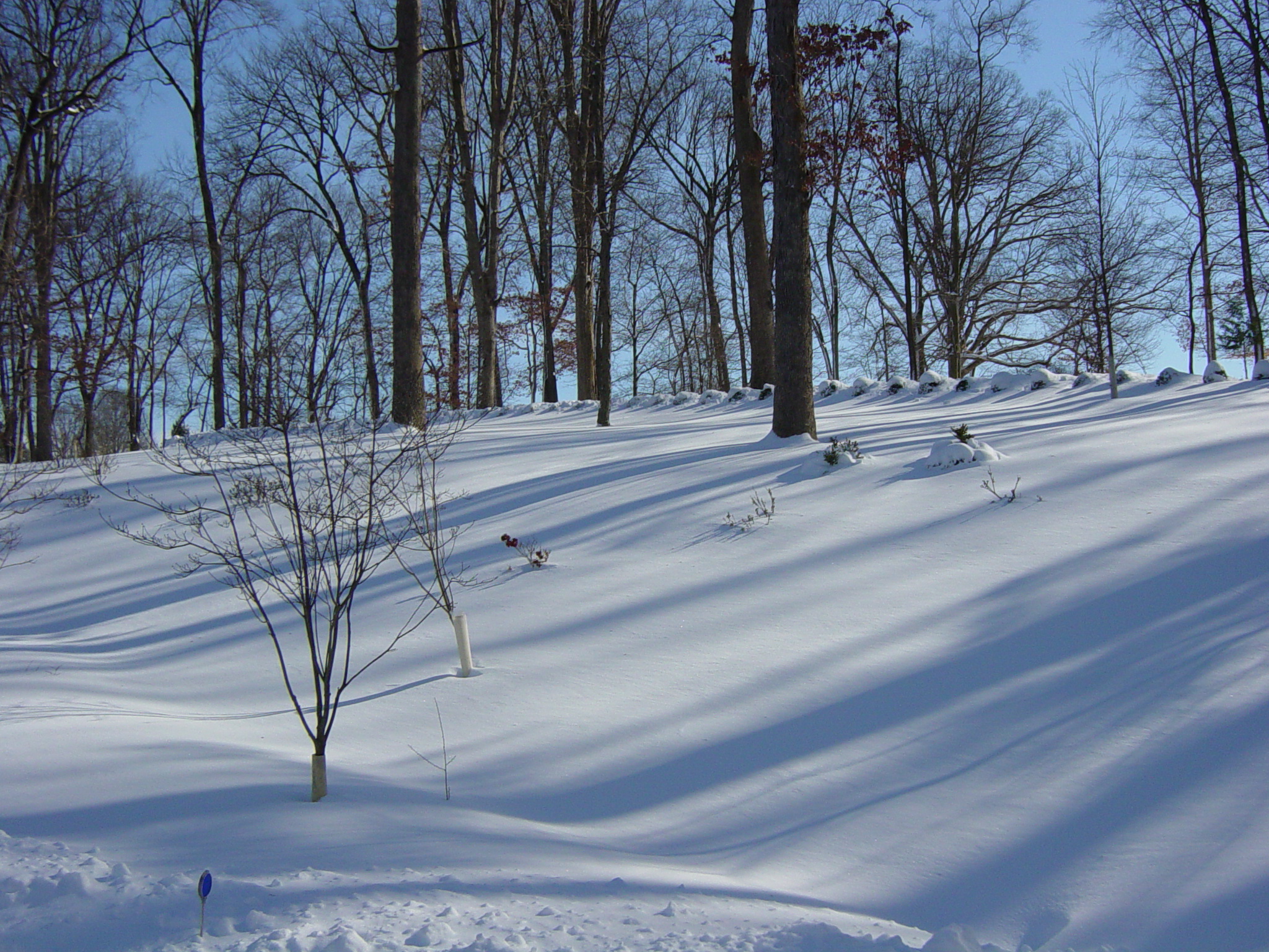 Snow