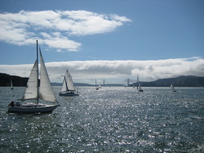 Sailboats on the bay with the Golden Gate Bridge in the background