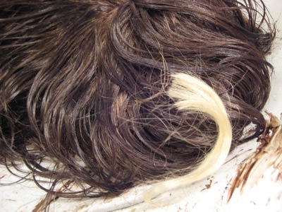 dark wig with piece of blonde hair sitting on top