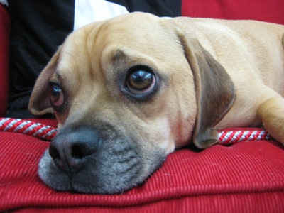 Henri