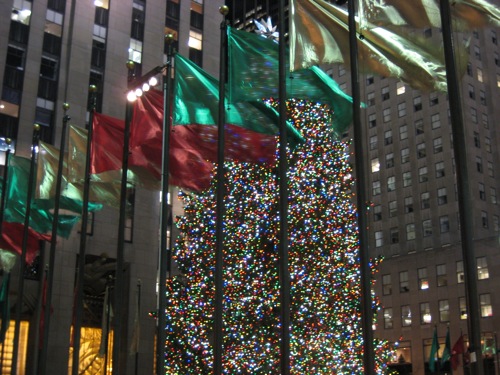 red, green, and gold flags with tree in background