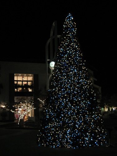 outdoor Christmas tree at night