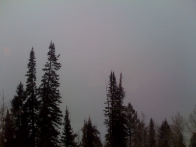 whiteout