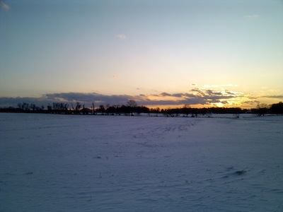 snowy field at sunset