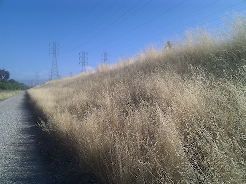 View of the hill from a lower trail