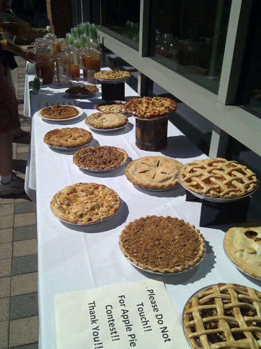 Table full of apple pies