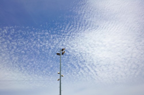 clouds