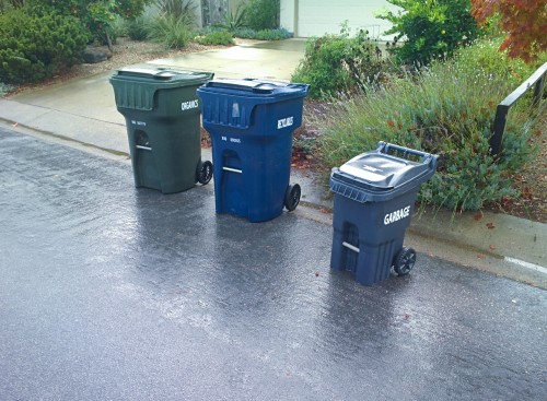 large organics bin, large recycling bin, and small garbage bin.